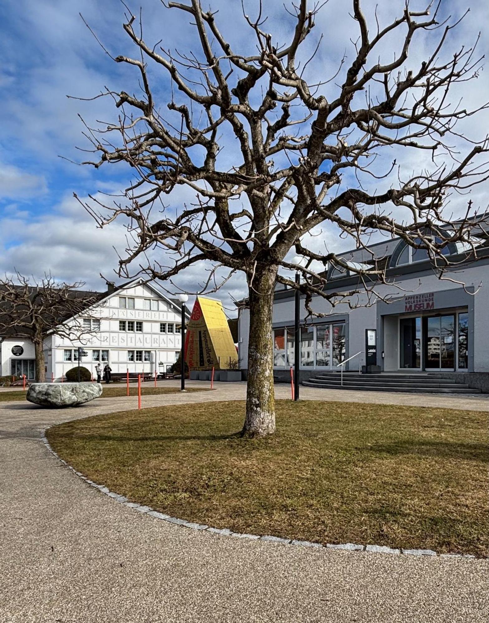 Appenzellerland, Ferienwohnung Mit Aussicht Haslen Exterior photo